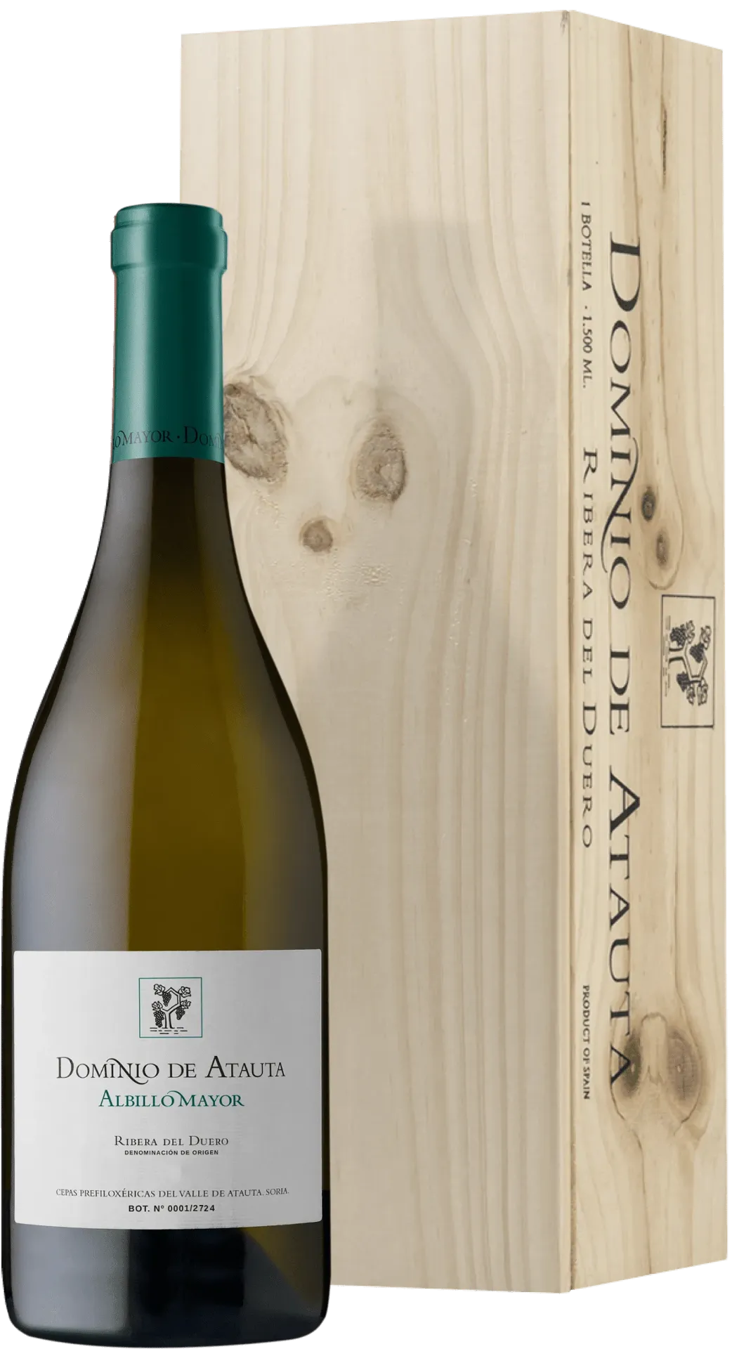 Dominio de Atauta Albilla Mayor '21